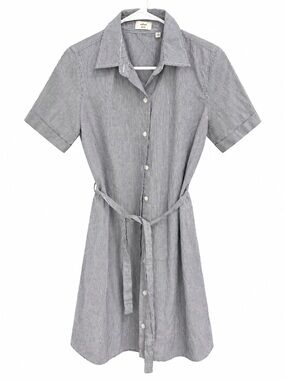 Wilfred Gray Pinstripe Button-Front Mini Dress